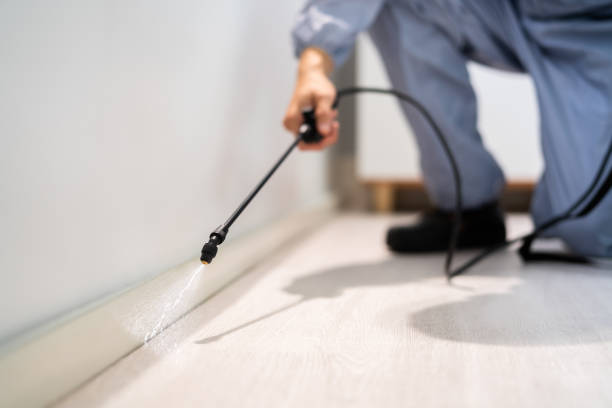 Licensed Pest Control service in Stiles, PA - Show Me Pest Control