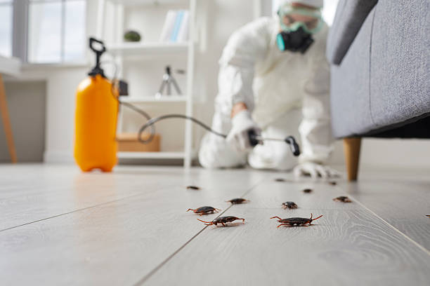 Commercial Kitchen Cockroach Control in Stiles