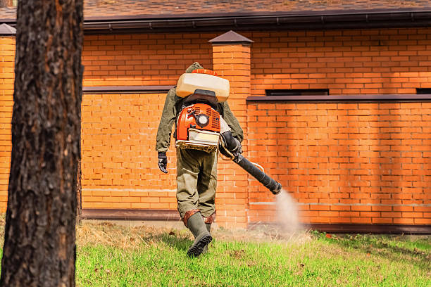 Cockroach Follow-Up and Monitoring in Stiles